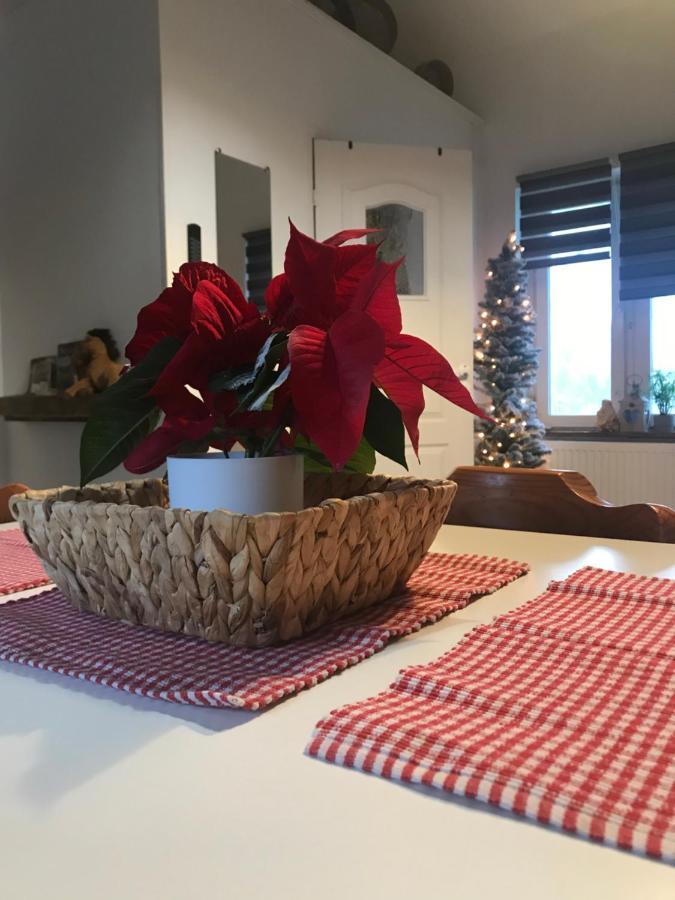 Siedlisko Apartment *